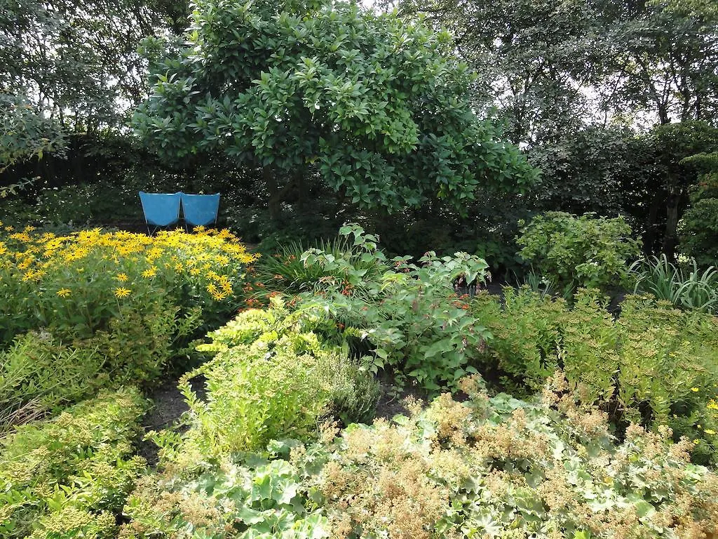 B&B Vennehoeve Vremde Belgium